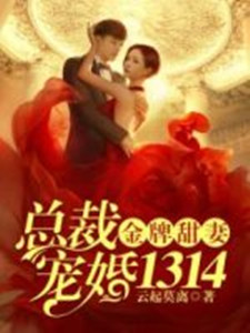 《金牌甜妻总裁宠婚1314》主角苏北路南